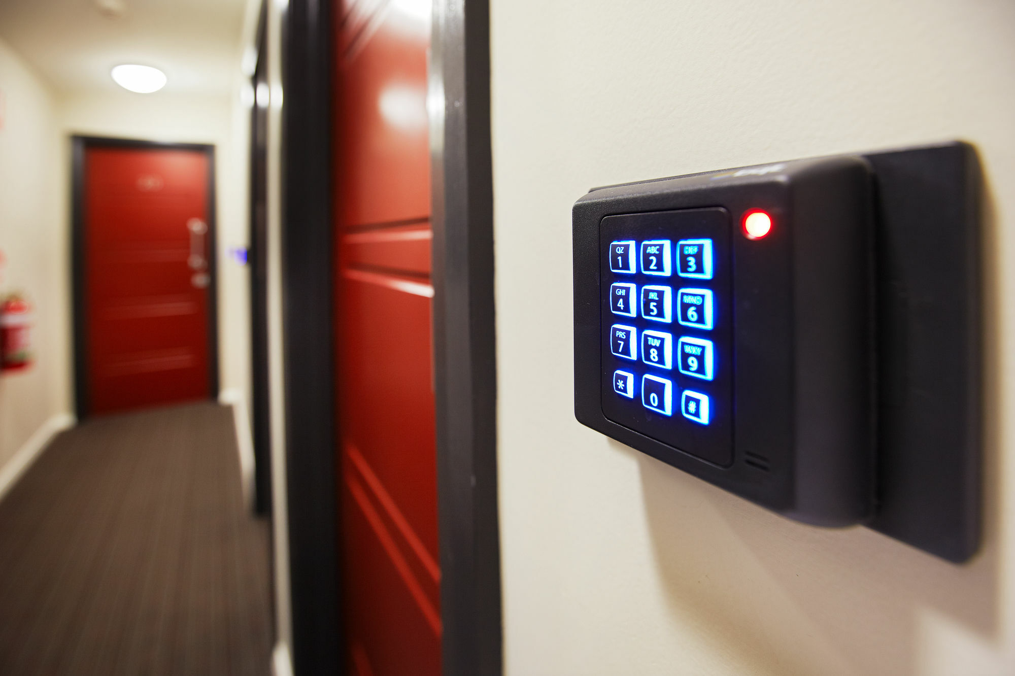 ניוקסטל Charlestown Executive Apartments מראה חיצוני תמונה